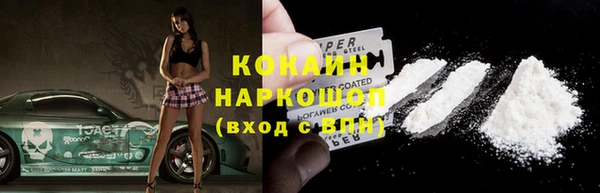 твердый Абаза