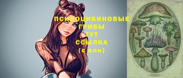 дживик Алексин